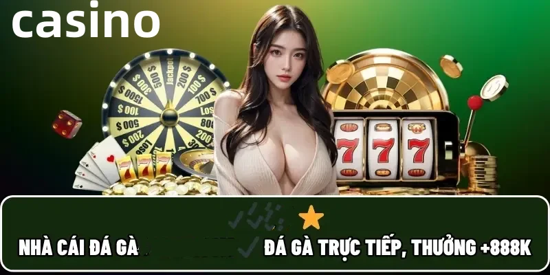 79kin